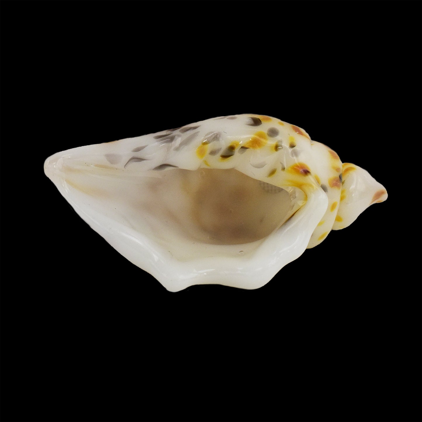 Luv4Erth Natural Shell Pendant