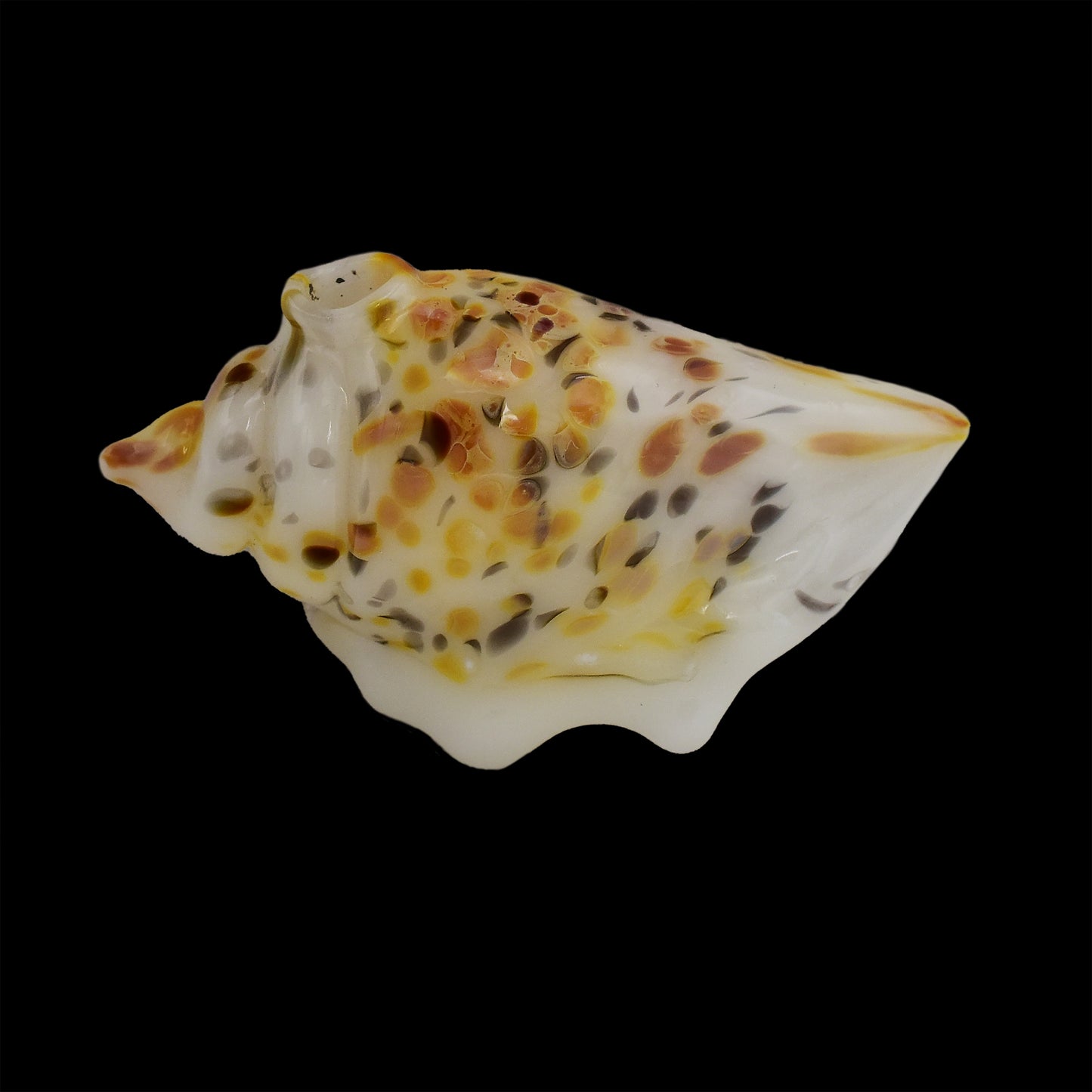 Luv4Erth Natural Shell Pendant